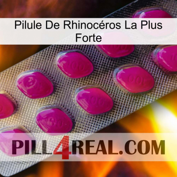 Pilule De Rhinocéros La Plus Forte 09